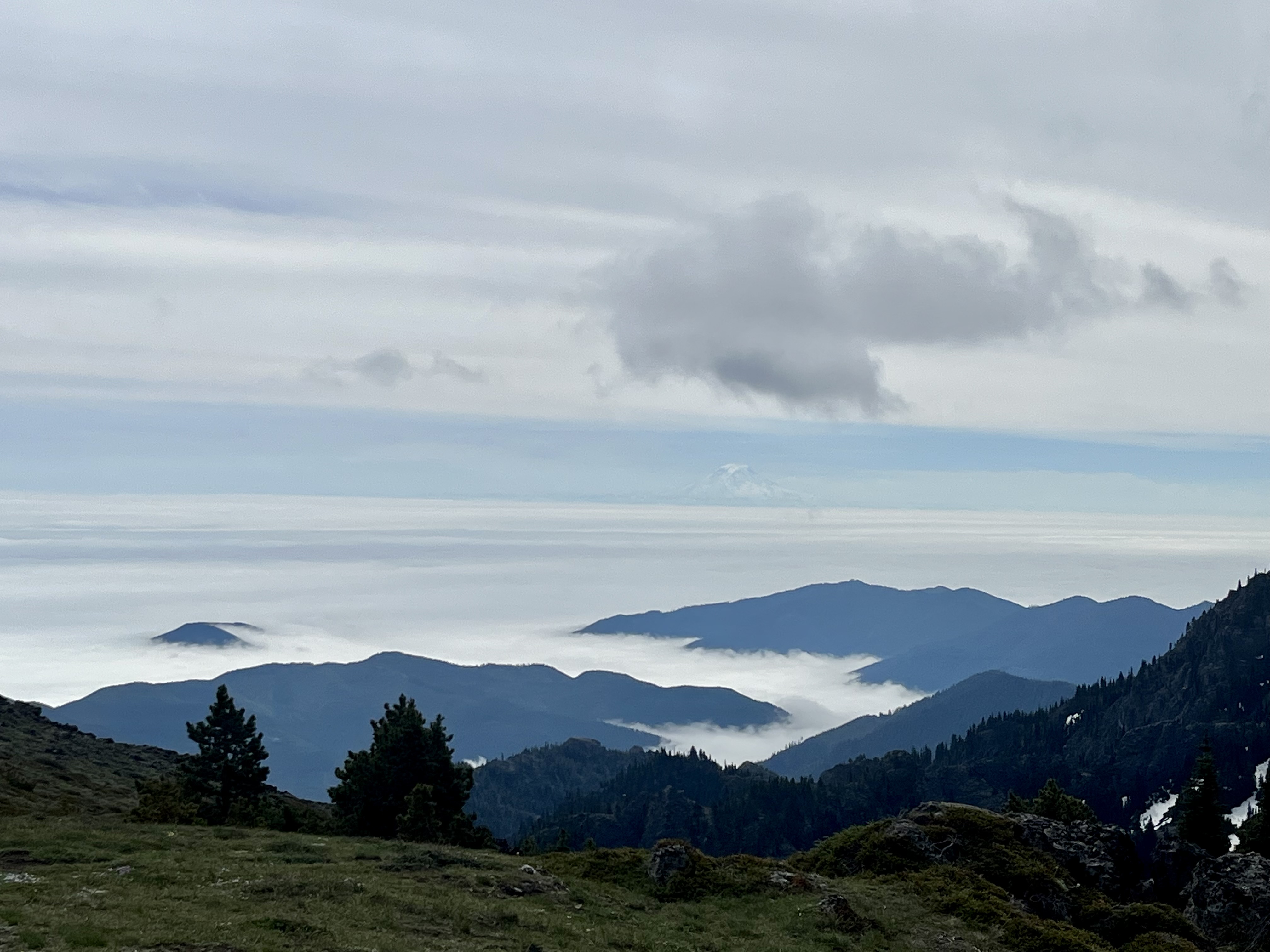 Mount Townsend — Washington Trails Association